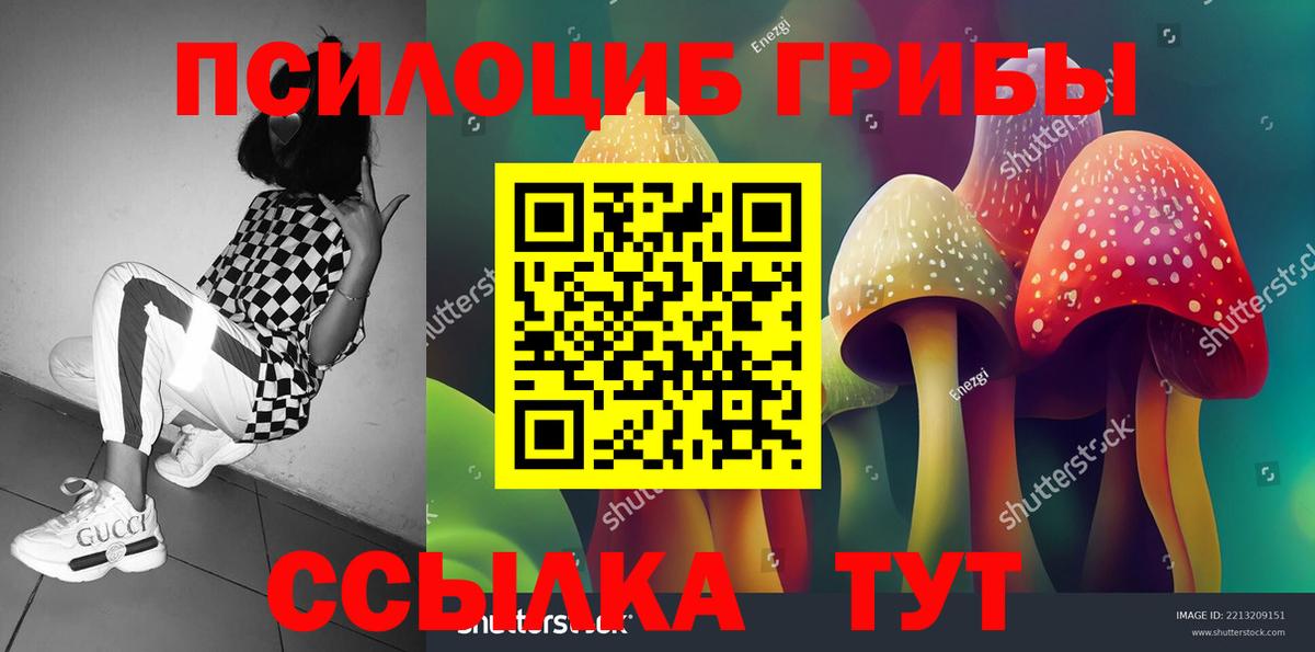 Заволжье  Галлюциногенные грибы Psilocybe  Вход с VPN 