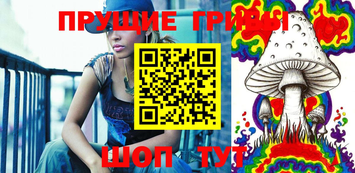 Псилоцибиновые грибы GOLDEN TEACHER Заволжье